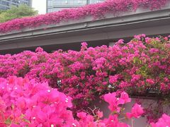 -人民公园(罗湖区)