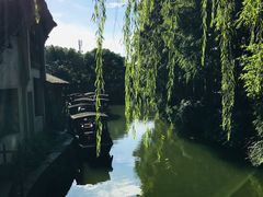 -乌镇东栅景区