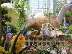 -沈阳植物园