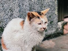 -广州兰圃