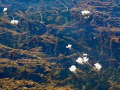 -丽江泸沽湖景区
