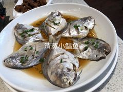 -阿莉餐厅(枣阳路店)