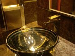 0-东莞松山湖凯悦酒店