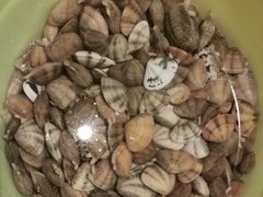 -青岛银沙滩