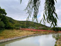 -上海佘山国家森林公园天马山园