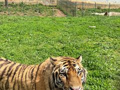 -贵州森林野生动物园