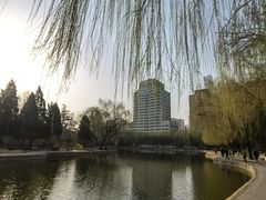-团结湖公园