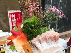 -一本钓鲔鱼屋