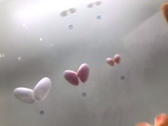 -青岛贝壳博物馆