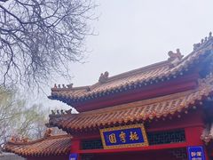 -桃花堤公园