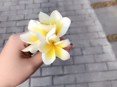-三亚亚龙湾雅高铂尔曼别墅度假酒店