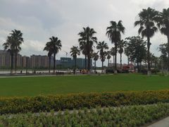 -金沙湖公园