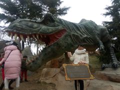 -青岛方特梦幻王国