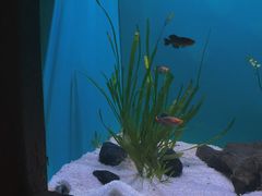 -上海海洋水族馆