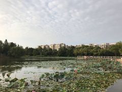 -新江湾城公园