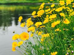 -舍利塔滩地公园-无垢净光舍利塔