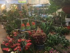 -双季花艺园艺市场(浦东店)