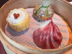 -随堂里