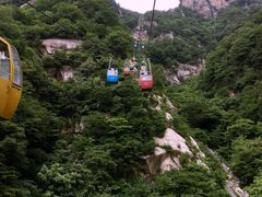 -王顺山国家森林公园