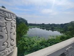 -东湖落雁景区