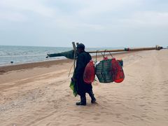 -日照海滨国家森林公园