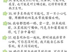 -猫猫幼稚园·撸猫·桌游·电玩