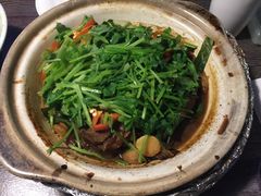 -青叶202都市餐厅(迪诺水镇店)