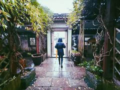 -普洱茶府(博乐广场店)