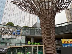 -柠季·手打柠檬茶(梅溪湖新天地外街店)