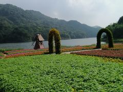 -广州市石门国家森林公园