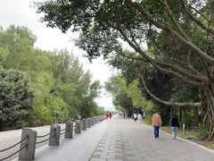 -深圳湾公园(南山区)