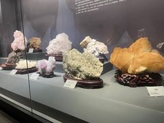 -湖南省地质博物馆