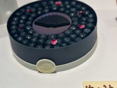 -BLACKSWAN黑天鹅(环球店)