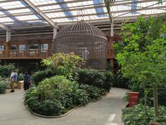 -南宫五洲植物乐园