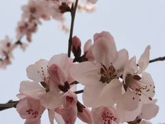 -三里河公园
