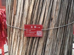 -红螺寺