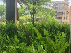 -番禺广场(市桥街道)
