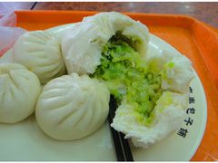 外卖的大白菜包子-庆丰包子铺(白塔寺店)