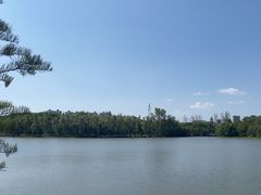 -昆山城市生态森林公园