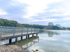 -美兰湖景区