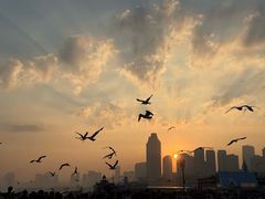 -星海广场