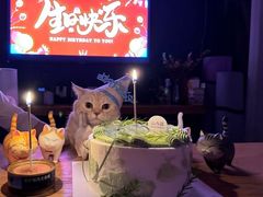-山与蓝·轻糖鲜果蛋糕(勒泰店)
