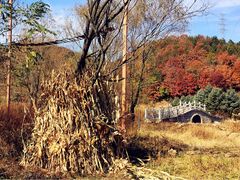-六里坪国家森林公园