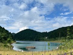 -武陵山森林公园