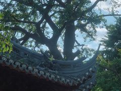 -豫园