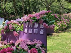 -上海滨江森林公园