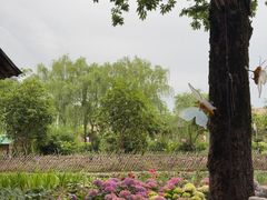 -乌村