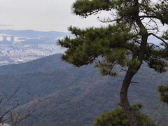 -惠山国家森林公园