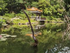 -深圳仙湖植物园
