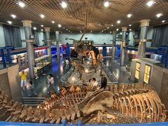 -国家自然博物馆